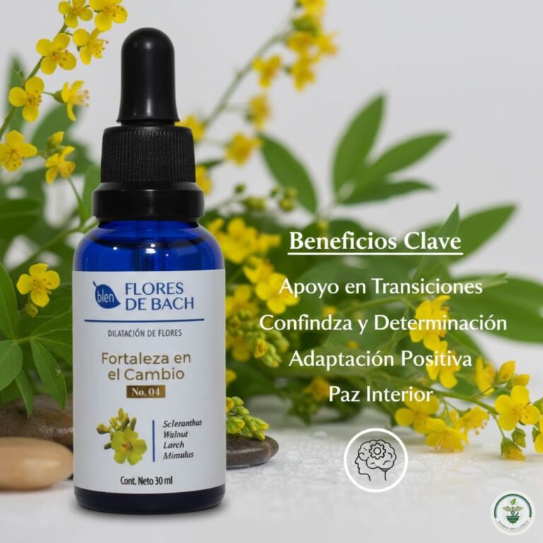 AFRIKA - 2026-01-29T203025.045